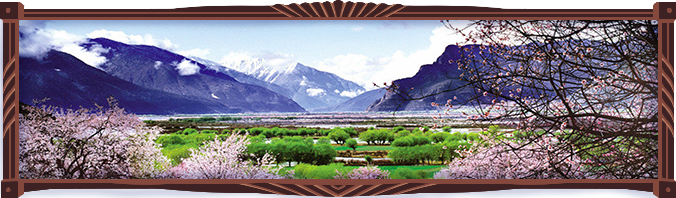 Photograph of spring in Nyingchi, Tibet, with green meadows, pink peach blossoms, blue mountains with shrouds of clouds and a shimmering lake in the distance.